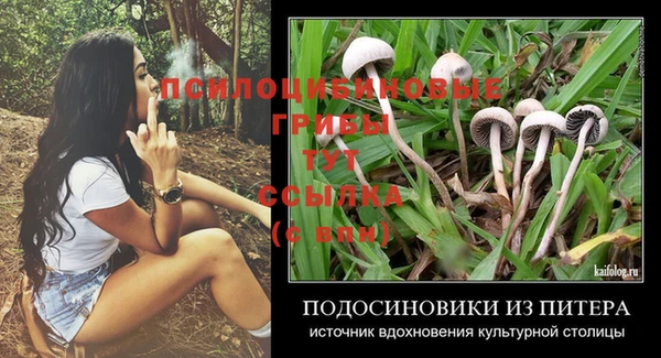 бошки Покровск