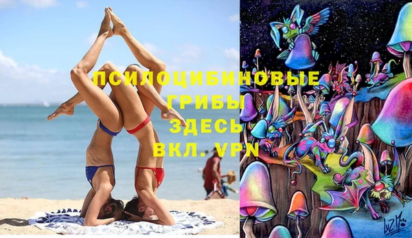 бошки Покровск
