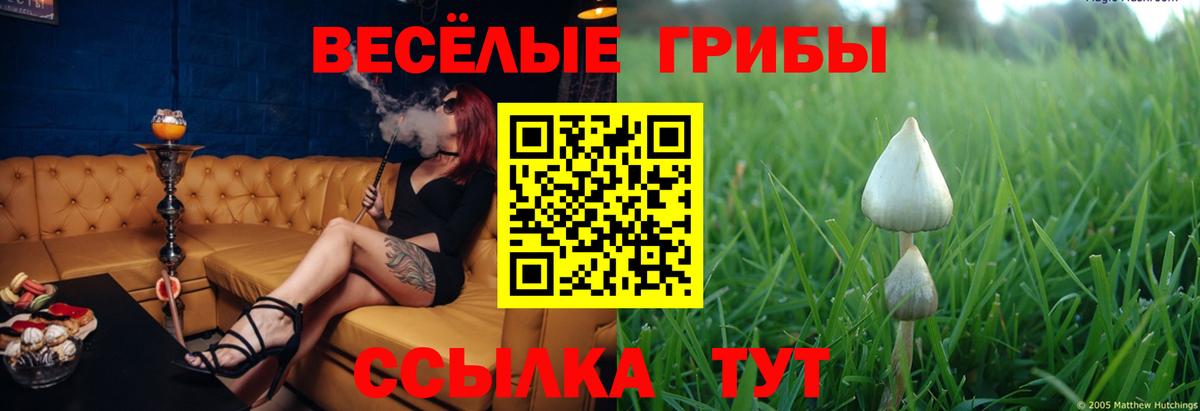 Альфа ПВП Черногорск